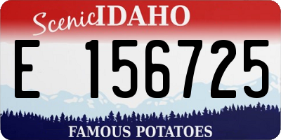ID license plate E156725