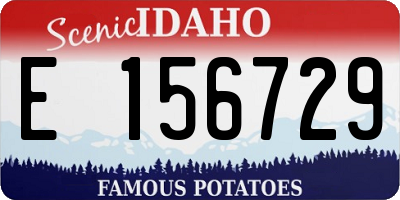ID license plate E156729