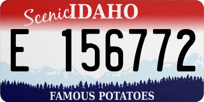 ID license plate E156772