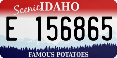 ID license plate E156865