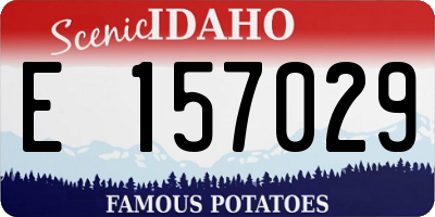 ID license plate E157029