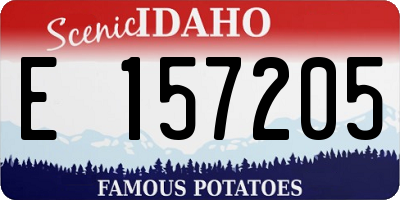 ID license plate E157205
