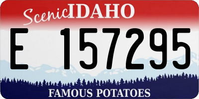 ID license plate E157295