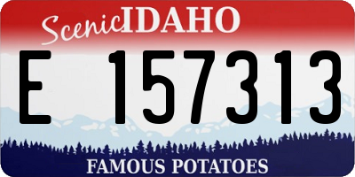 ID license plate E157313