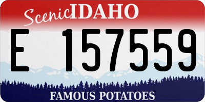 ID license plate E157559
