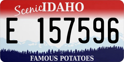 ID license plate E157596