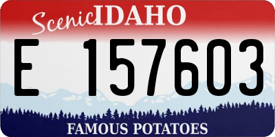 ID license plate E157603