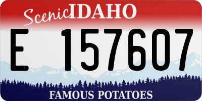 ID license plate E157607