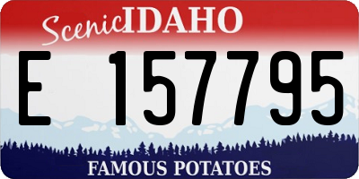 ID license plate E157795