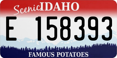 ID license plate E158393