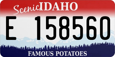 ID license plate E158560