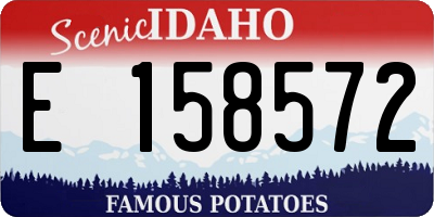 ID license plate E158572
