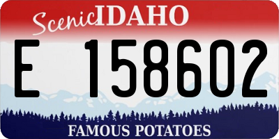 ID license plate E158602