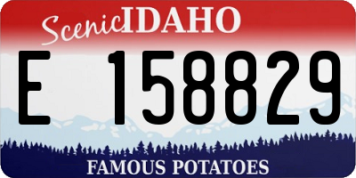 ID license plate E158829