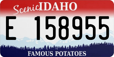 ID license plate E158955