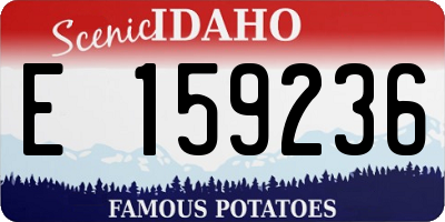ID license plate E159236