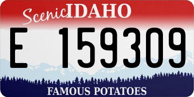 ID license plate E159309
