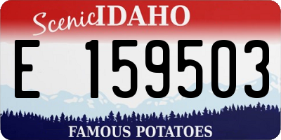 ID license plate E159503