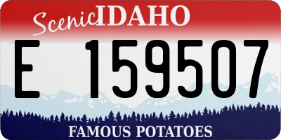 ID license plate E159507