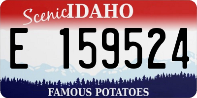ID license plate E159524