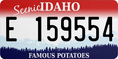 ID license plate E159554