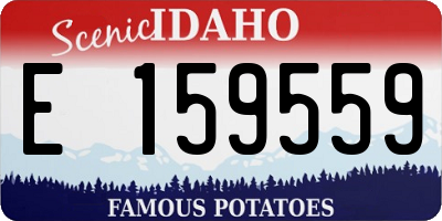 ID license plate E159559