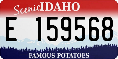 ID license plate E159568