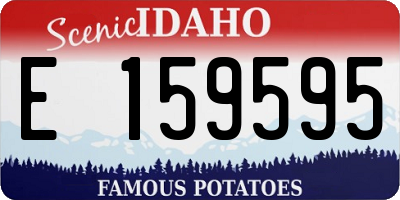 ID license plate E159595