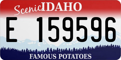 ID license plate E159596