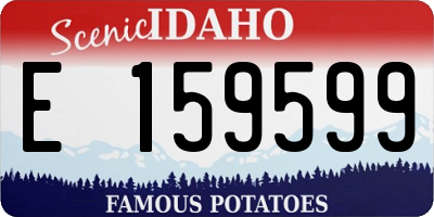 ID license plate E159599