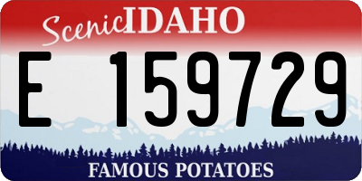ID license plate E159729