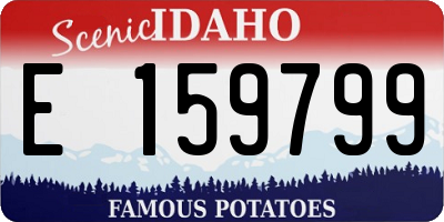 ID license plate E159799