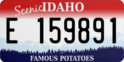 ID license plate E159891