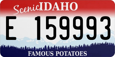 ID license plate E159993