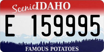 ID license plate E159995