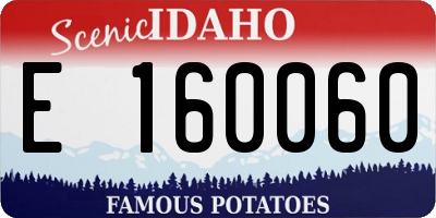 ID license plate E160060