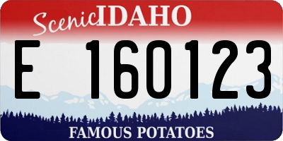 ID license plate E160123