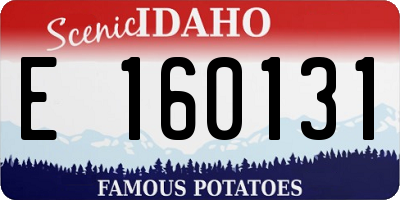 ID license plate E160131