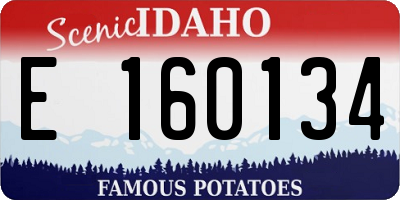 ID license plate E160134