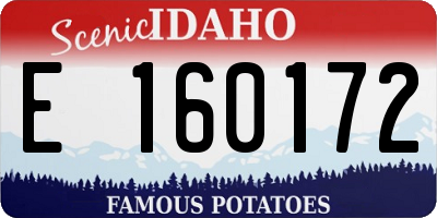 ID license plate E160172