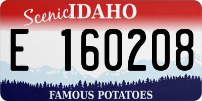 ID license plate E160208