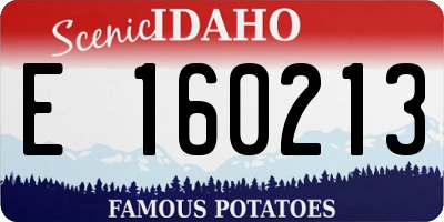 ID license plate E160213