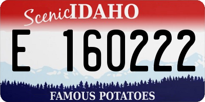 ID license plate E160222