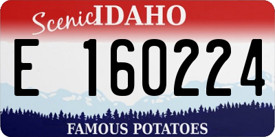 ID license plate E160224