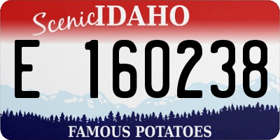 ID license plate E160238