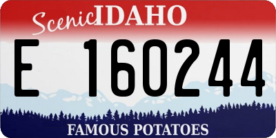 ID license plate E160244