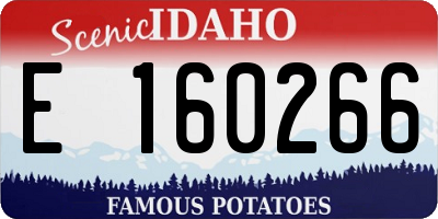 ID license plate E160266