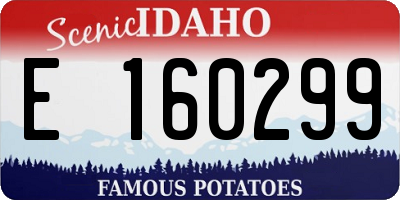 ID license plate E160299