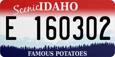 ID license plate E160302
