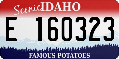 ID license plate E160323